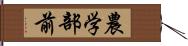 農学部前 Hand Scroll