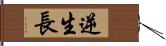 逆生長 Hand Scroll