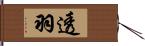 透羽 Hand Scroll