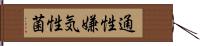 通性嫌気性菌 Hand Scroll