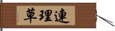 連理草 Hand Scroll