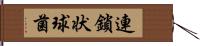 連鎖状球菌 Hand Scroll