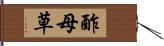 酢母草 Hand Scroll