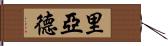Riyaad Hand Scroll