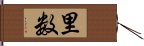 里数 Hand Scroll