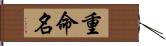 重命名 Hand Scroll