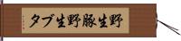 野生豚 Hand Scroll