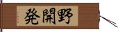 野開発 Hand Scroll