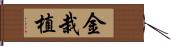 金栽植 Hand Scroll