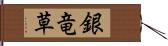 銀竜草 Hand Scroll