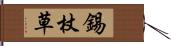 錫杖草 Hand Scroll