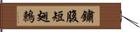 鏽腹短翅鶇 Hand Scroll