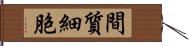 間質細胞 Hand Scroll