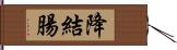 降結腸 Hand Scroll