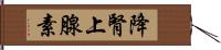 降腎上腺素 Hand Scroll