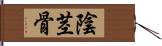 陰茎骨 Hand Scroll