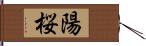 陽桜 Hand Scroll