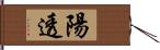 陽透 Hand Scroll