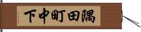 隅田町中下 Hand Scroll