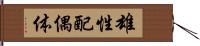 雄性配偶体 Hand Scroll