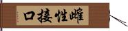 雌性接口 Hand Scroll