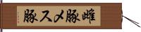 雌豚 Hand Scroll