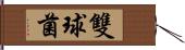 雙球菌 Hand Scroll