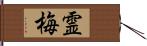 霊梅 Hand Scroll