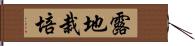 露地栽培 Hand Scroll