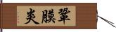 鞏膜炎 Hand Scroll