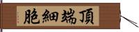 頂端細胞 Hand Scroll