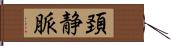 頚静脈 Hand Scroll