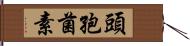 頭孢菌素 Hand Scroll