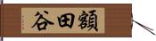額田谷 Hand Scroll