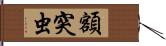 額突虫 Hand Scroll