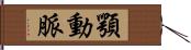 顎動脈 Hand Scroll