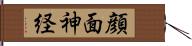 顔面神経 Hand Scroll
