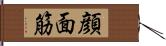 顔面筋 Hand Scroll