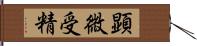 顕微受精 Hand Scroll