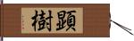 顕樹 Hand Scroll