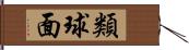 類球面 Hand Scroll