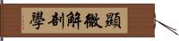 顯微解剖學 Hand Scroll