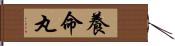 養命丸 Hand Scroll