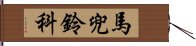 馬兜鈴科 Hand Scroll