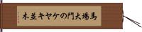 馬場大門のケヤキ並木 Hand Scroll