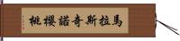 馬拉斯奇諾櫻桃 Hand Scroll