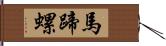 馬蹄螺 Hand Scroll