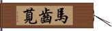 馬齒莧 Hand Scroll