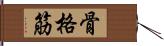 骨格筋 Hand Scroll