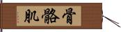 骨骼肌 Hand Scroll